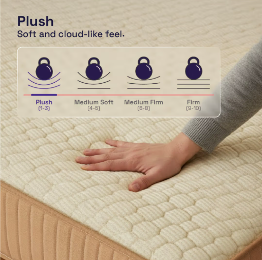 Wakefit Latex Hybrid Pocket Spring Mattress