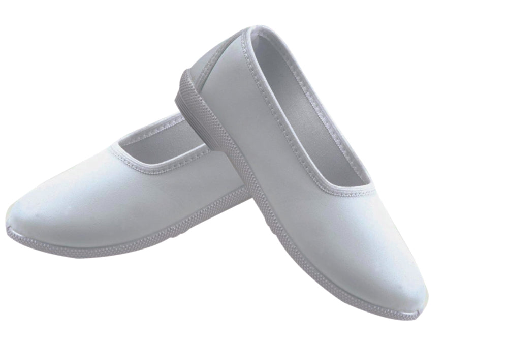 Shoes Work Wear for Females WWS-20